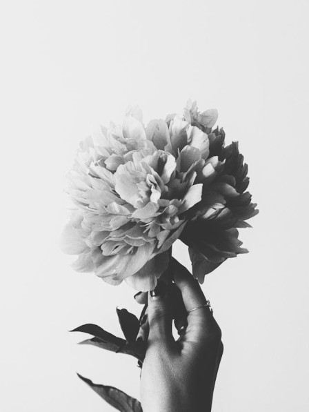 Grayscale Flower