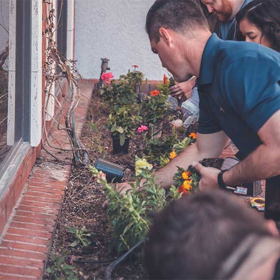 guys gardening